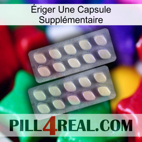 Ériger Une Capsule Supplémentaire 07.jpg